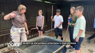 Oblíbené Letní školy v ZOO Ostrava se zúčastnilo 90 dětí, všechny tři turnusy byl plně obsazené