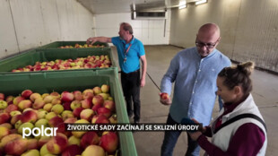 Životické sady začínají se sklizní úrody