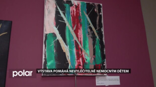 Výstava Martiny Kajnarové v DK AKORD pomáhá Hospici Ondrášek