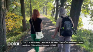 Život v rezervaci Kotvice se vrací do původního stavu