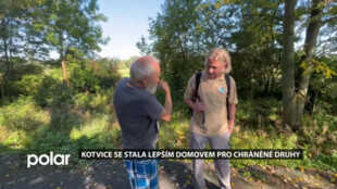 Kotvice se stala lepším domovem pro chráněné druhy, zabydluje se i moták pochop