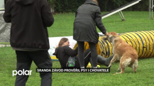 Sranda závod na kynologickém cvičišti prověřil psy i chovatele