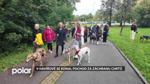 V Havířově se konal pochod za záchranu chrtů