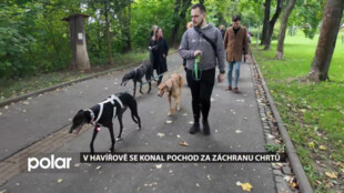 Havířov se stal hlasem chrtů, které po závodech čeká smutný osud