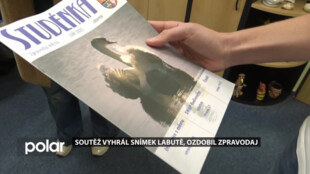 Soutěž vyhrál snímek labutě, ozdobil zpravodaj
