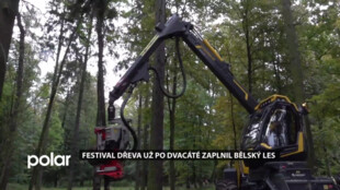 Festival dřeva už po dvacáté zaplnil Bělský les