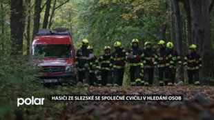 Hasiči ze Slezské se společně cvičili v hledání osob, zúčastnilo se všech pět jednotek
