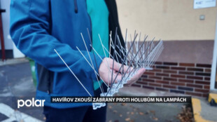 Tady už si nesedneš, Havířov zkouší zábrany proti holubům na veřejném osvětlení