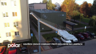 Za čisté karosérie aut: Havířov testuje zábrany, které holuby odradí sedat na lampy