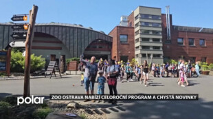 Zoo Ostrava nabízí celoroční program i novinky. Návštěvníci se mohou těšit na tučňáky