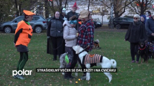 Strašidelný večer se dal zažít i na psím cvičáku