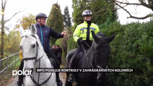 Strážníci zesilují hlídky v chatových osadách. Využívají k tomu psy i koně