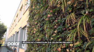 Bílovecké gymnázium žije zelenými projekty. Letos se chlubí živou fasádou