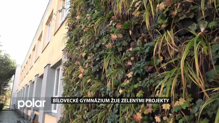Bílovecké gymnázium žije zelenými projekty. Letos se chlubí živou fasádou