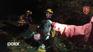 Sára spadla do hluboké studny. Zachránila ji parta skvělých hasičů