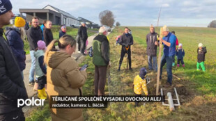 Těrličané si udělali brigádu a společně vysadili ovocnou alej