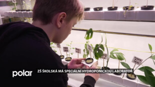 ZŠ Školská má speciální hydroponickou laboratoř, se kterou se děti baví v přírodovědě