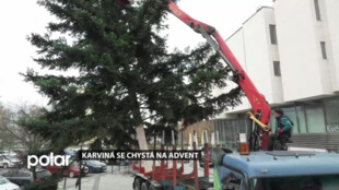 V Karviné se v rámci přípravy na letošní advent těžily vánoční stromy