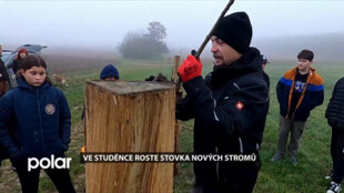 Ve Studénce roste stovka nových stromů