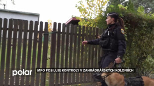 Městská policie posílila kontroly v ostravských zahrádkářských koloniích