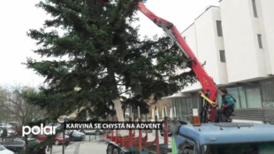 V Karviné se těžily vánoční stromy, budou opět zdobit karvinská prostranství během adventu