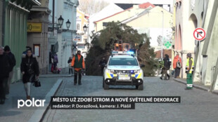Město už zdobí strom a nové světelné dekorace