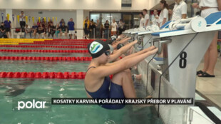 Kosatky Karviná pořádaly krajský přebor v plavání, účastnily se děti všech věkových skupin