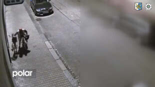 Skákal přes ploty a lup si schovával do křoví, zloděj z Přívozu byl dopaden