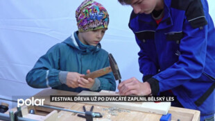 Bělský les zaplnil Festival dřeva. Už po dvacáté