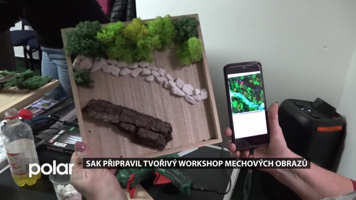 BEZ KOMENTÁŘE: Mechové obrazy - tvořivý workshop ve Studénce