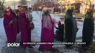 Na vánoční jarmark a rozsvícení stromu letos v Palkovicích dohlédlo dvanáct měsíčků