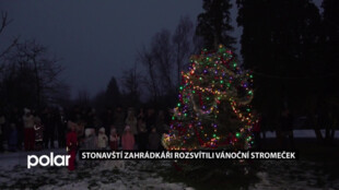 O první adventní neděli rozsvítili stonavští zahrádkáři vánoční stromeček