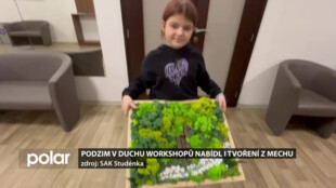 Podzim v duchu workshopů nabídl i tvoření obrazů z mechu