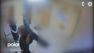 Několikrát okradl seniorku a její dceru na vozíku, pak obě ženy násilně napadl