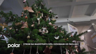Strom na magistrátu ožil ozdobami od školáků