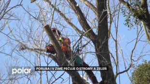 Poruba pečuje o stromy a zeleň také v zimním období. Zaměřuje se na ořezy