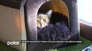 Frýdek-Místek dlouhodobě podporuje útulky, o Vánocích zajistil i dárky