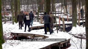 Bělský les v Ostravě má nové povalové chodníky
