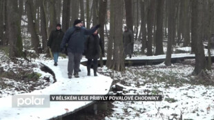 V Bělském lese přibyly další povalové chodníky