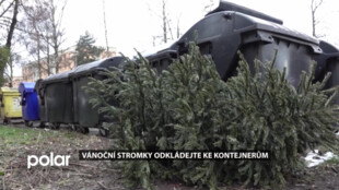 Vánoční stromky odkládejte ke kontejnerům. OZO provádí jejich svoz