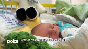 V opavské porodnici se jako jedné z mála nemocnic v ČR loni narodilo více dětí