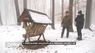 V zimě buďme ohleduplní k přírodě i fauně v ní, ve svém městě i na výletě v horách