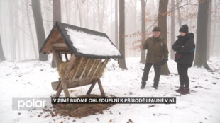 V zimě buďme ohleduplní k přírodě i fauně v ní, a to v městských lesích i na horách