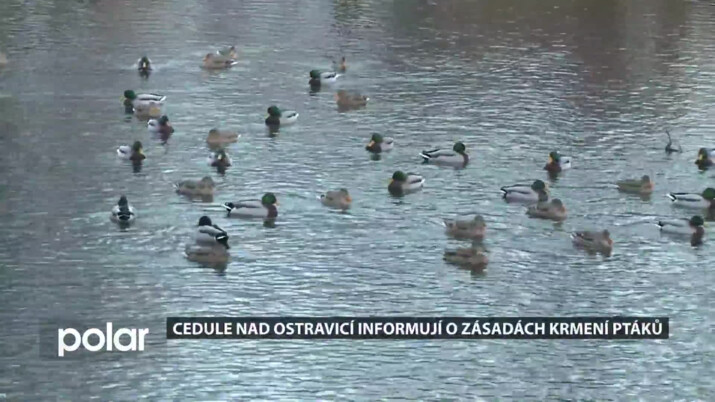 Zásady krmení ptactva přinášejí informační cedule nad Ostravicí