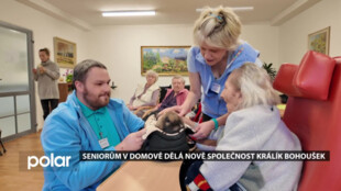 Seniorům v havířovském domově dělá nově společnost králík Bohoušek