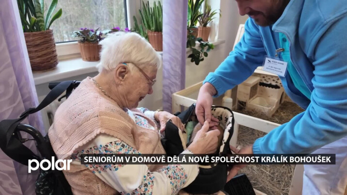 Králík Bohoušek dělá radost seniorům v Havířově