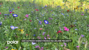 Výtěžek z reuse centra bude použit na zelené projekty. Zájem mají hlavně městské obvody