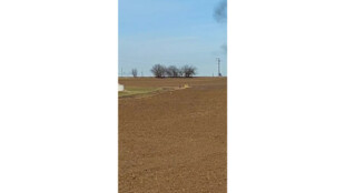 Na Opavsku vykopali padesátikilovou leteckou pumu. Policie evakuovala okolní domy