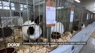 Chovatelské výstavě se dařilo, klece byly brzy prázdné