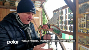 Včelařský kroužek Ambrožíci odhalil zimní tajemství úlu